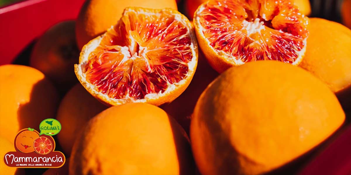Mammarancia, la startup che esalta l'arancia bio all'estero